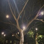 Photo taken by Kristy P