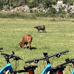 Photo taken by Men-Jean L