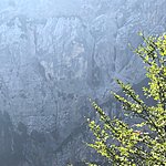 On way to next hut | Photo taken by Cindy w