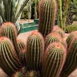 Photo taken by Diana G