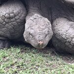 Photo taken by Jayme B