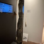 Photo taken by Sandra D