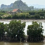 Photo taken by Margaret S