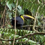 Photo taken by Mark S