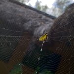 Photo taken by Elena R