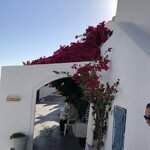 Photo taken by Lori H