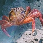 Photo taken by Barry T