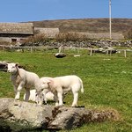 Photo taken by Lori R