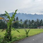 Photo taken by Ulrike S