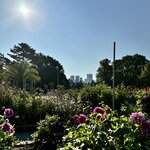 Photo taken by Tamaryn B