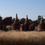 Photo taken by Michelle R