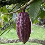 Photo taken by Mathew S