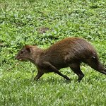 Photo taken by Peter F