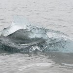 Photo taken by Amy C