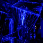 Photo taken by Glenda F