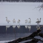 Photo taken by Iain M