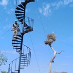 Photo taken by Matt W