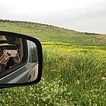 Spring wildflowers in the hills near As Salt, Jordan | Photo taken by Jennifer K