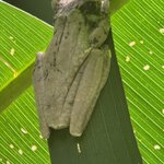 Photo taken by Chris H