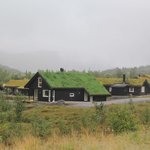 Photo taken by Prem P