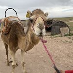 Photo taken by Colin L