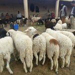 Photo taken by Maria R