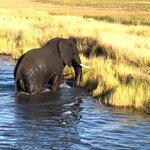 Photo taken by Tom B