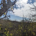 Photo taken by Jennifer A