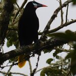 Photo taken by Brett F