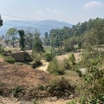 Photo taken by Rachael L