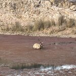 Photo taken by Mary R