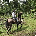 Photo taken by Michelle D