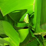 Photo taken by Esther B