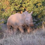 Photo taken by William R