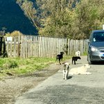 Photo taken by Bayard T