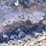 Photo taken by Sharon H