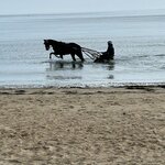 Photo taken by Nina W