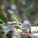 Photo taken by Brett F