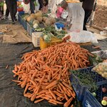 Photo taken by Nancy S