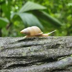 Photo taken by Darla D