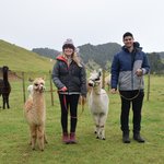 Nevalee Alpacas  | Photo taken by JESSICA T