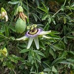 Photo taken by Lana P