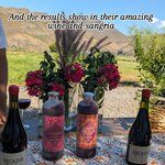 Photo taken by Colleen B