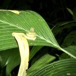 Photo taken by Ceinwen P