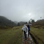 Photo taken by Dennis H