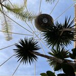 Photo taken by Jan M