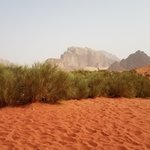 Photo taken by Beata p