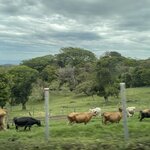 Photo taken by Robin W