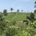 Photo taken by Dixie W