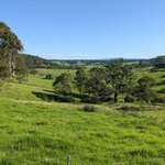 Photo taken by Daniel S